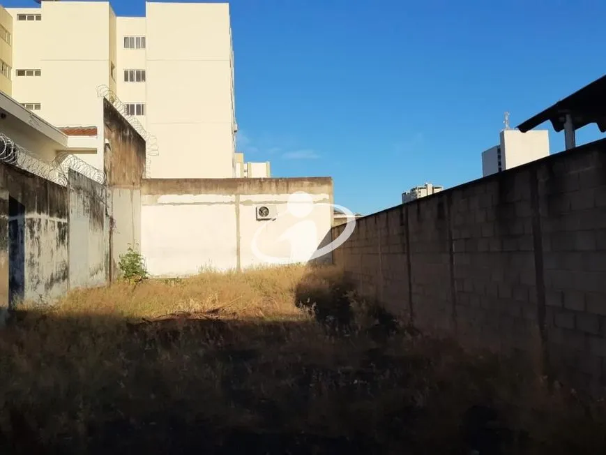 Imagem 11