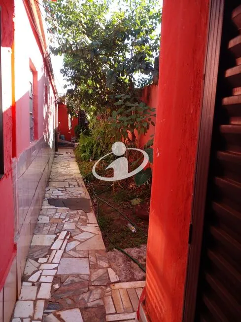 Imagem 15