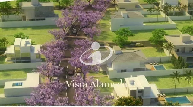 Imagem 11