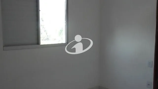 Imagem 8