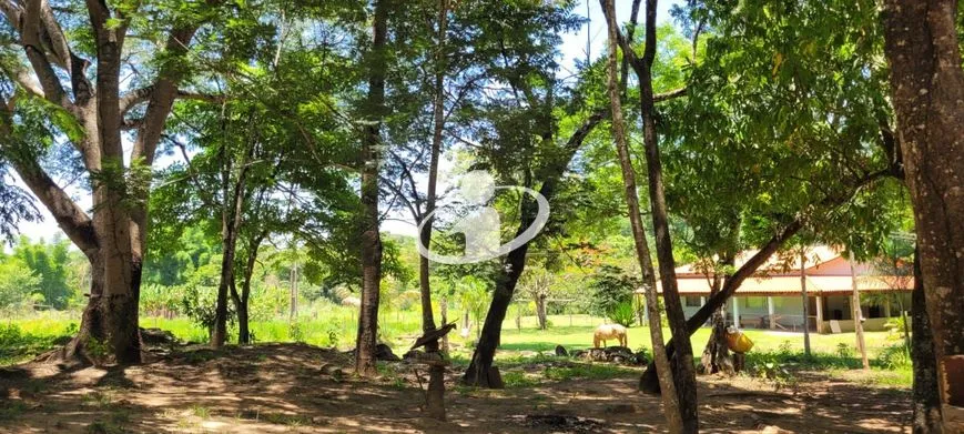 Imagem 36
