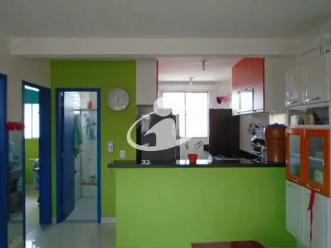 Imagem 11