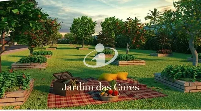 Imagem 8