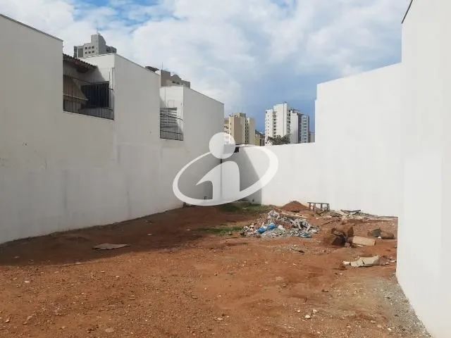 Imagem 3