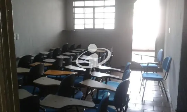 Imagem 8
