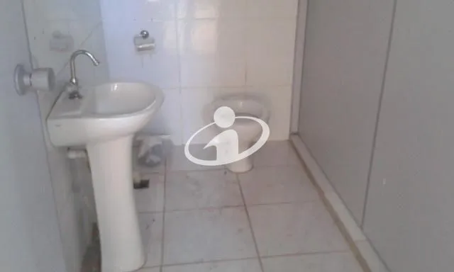 Imagem 11