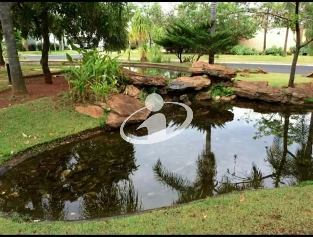 Imagem 12