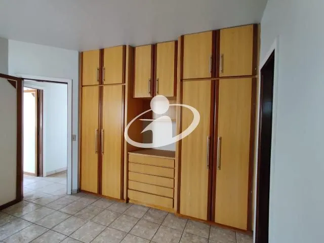 Imagem 7
