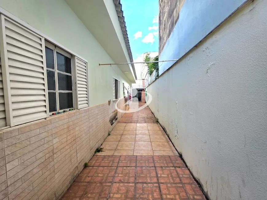 Imagem 31