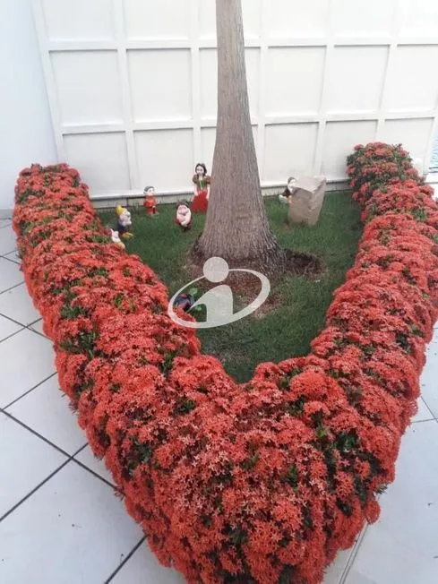 Imagem 15