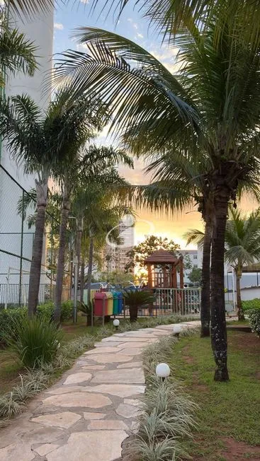 Imagem 6