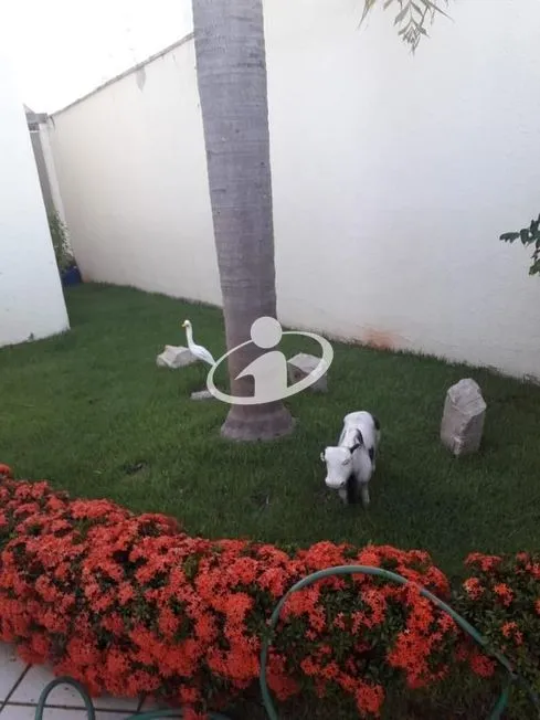 Imagem 23