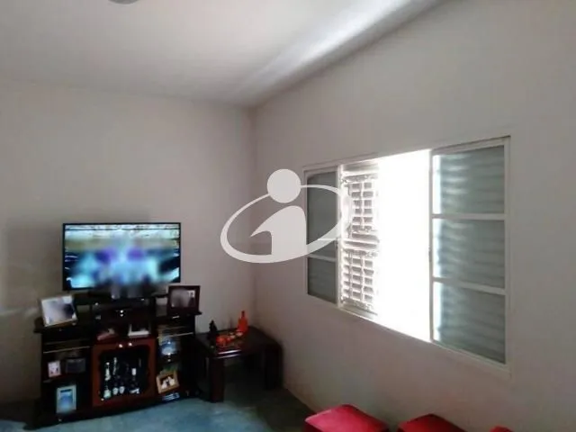 Imagem 5