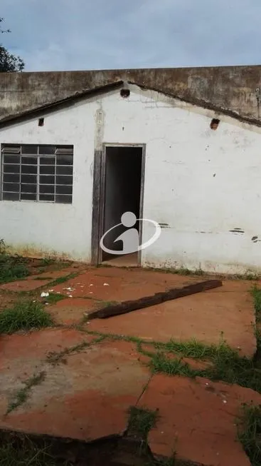 Imagem 3