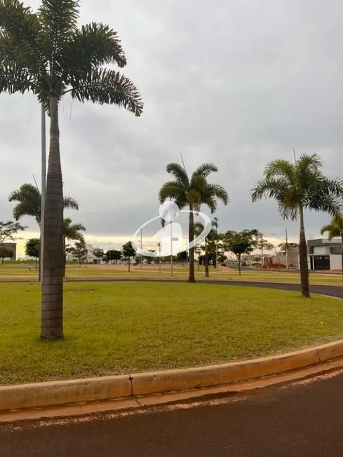 Imagem 15