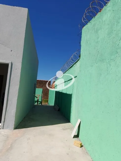 Imagem 13