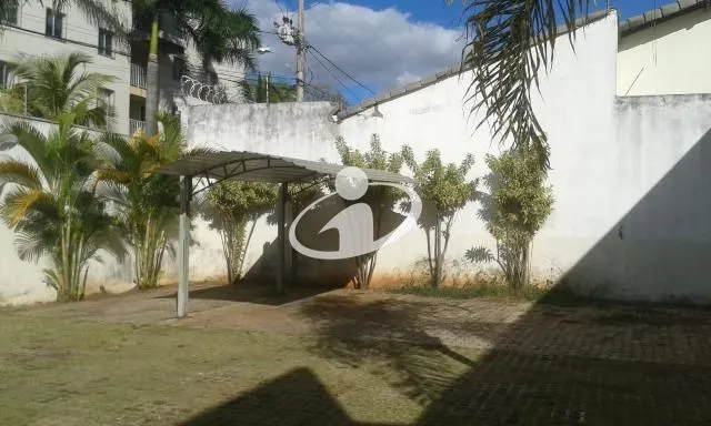Imagem 8