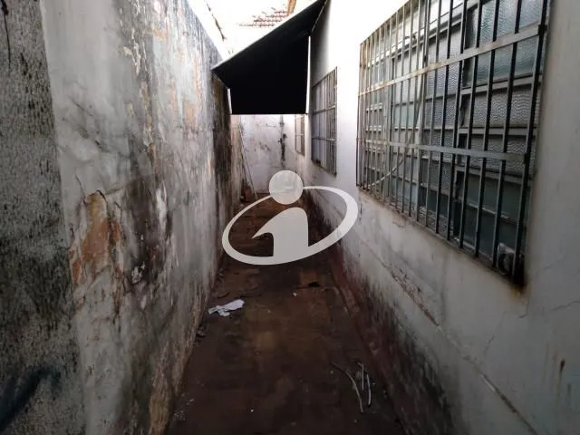 Imagem 20