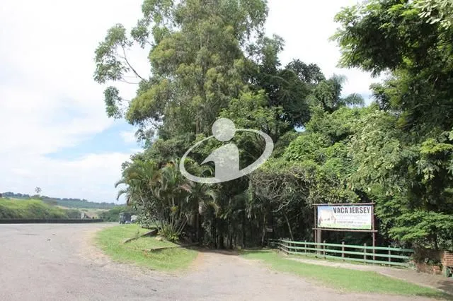 Imagem 6