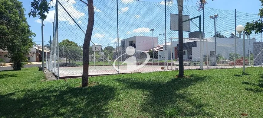 Imagem 13