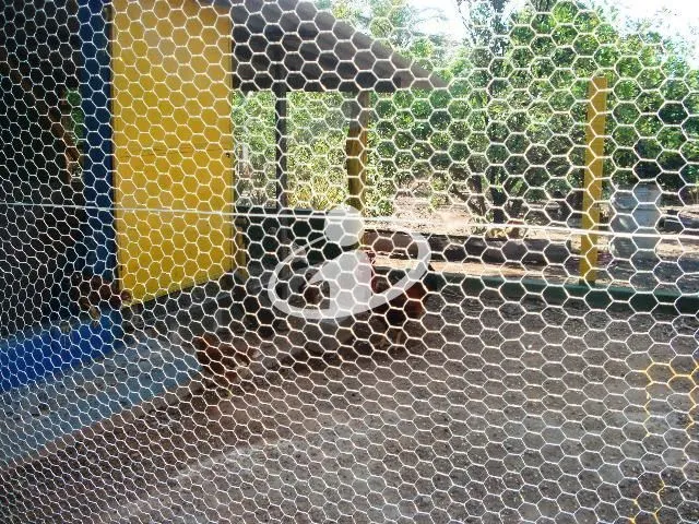 Imagem 12