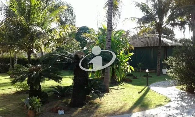 Imagem 6