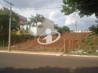 Imagem 3