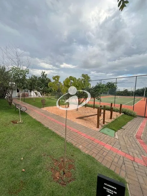 Imagem 6