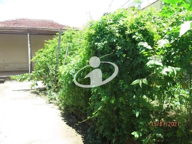 Imagem 5