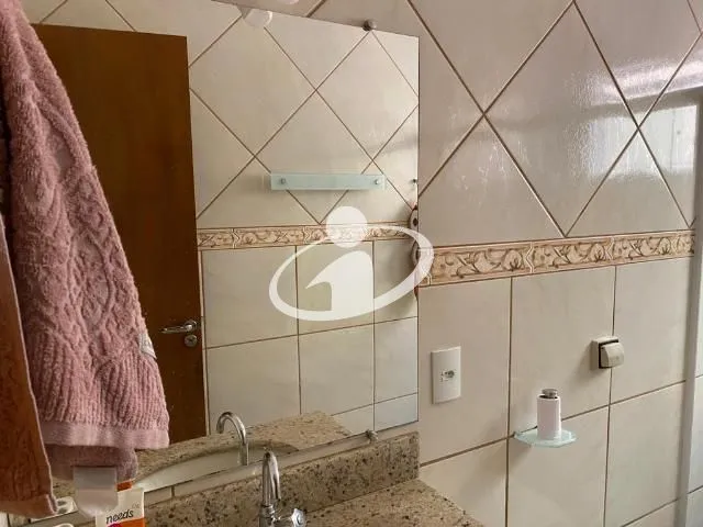 Imagem 13