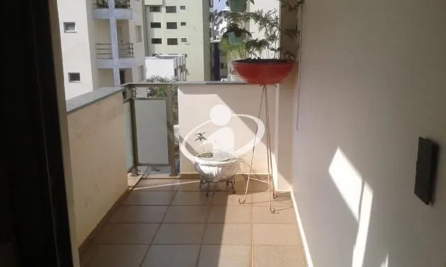 Imagem 6