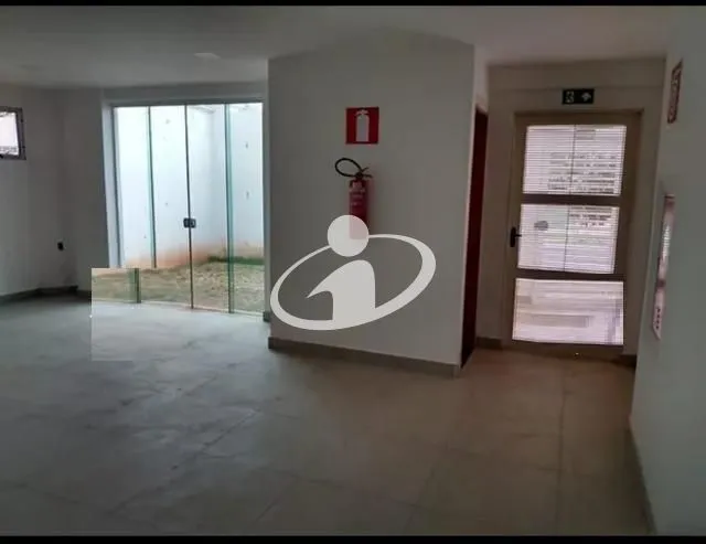 Imagem 8