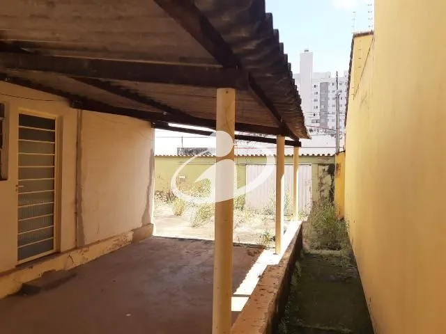 Imagem 6