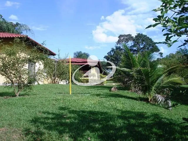 Imagem 8