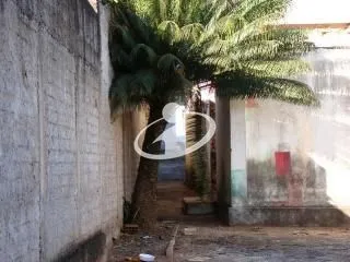 Imagem 6