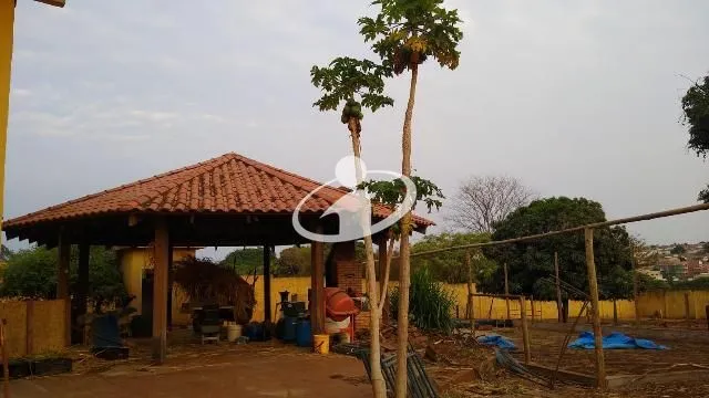 Imagem 11