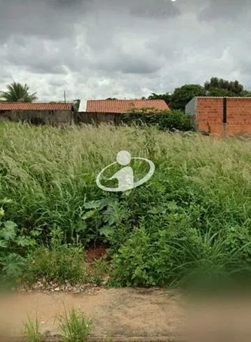 Terreno para vender no Jardim America imagem 1