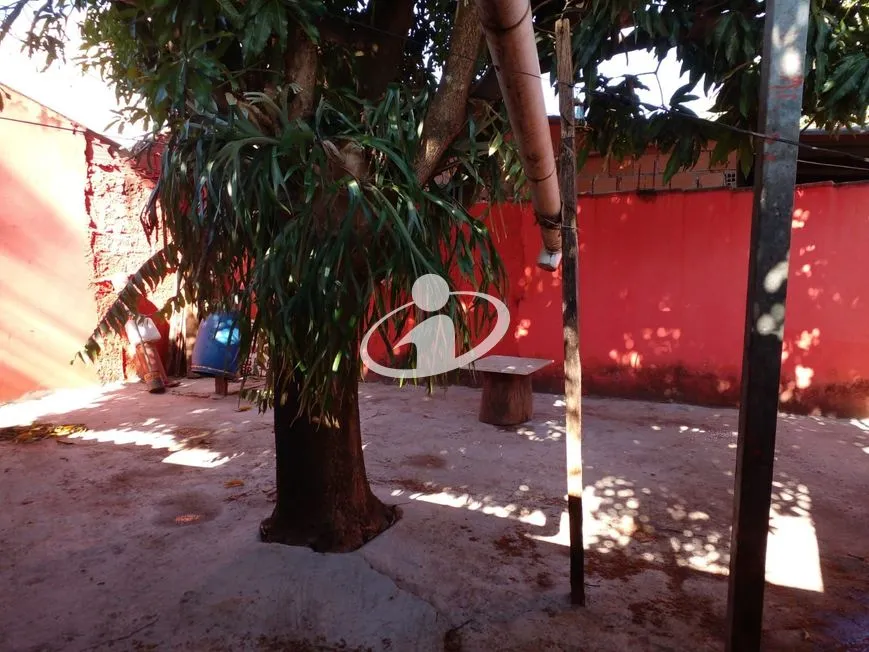 Imagem 7