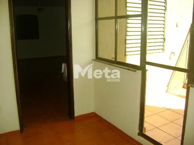 Imagem 8