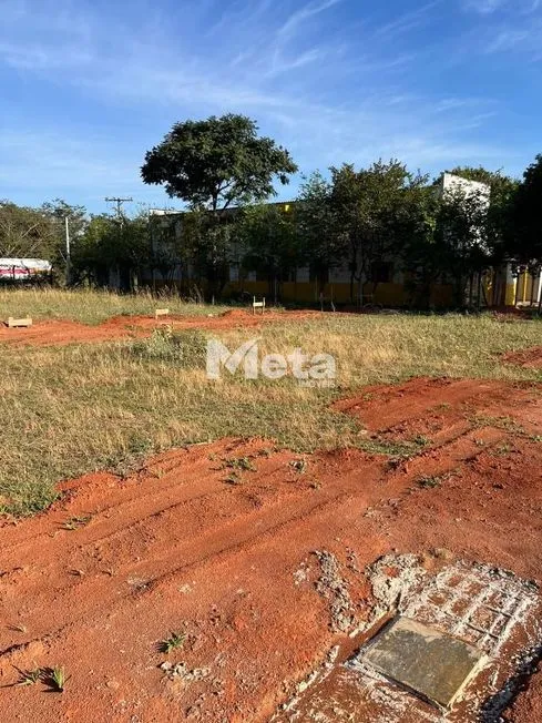 Imagem 5