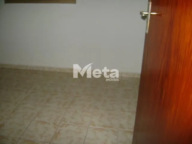 Imagem 8