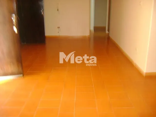 Imagem 10