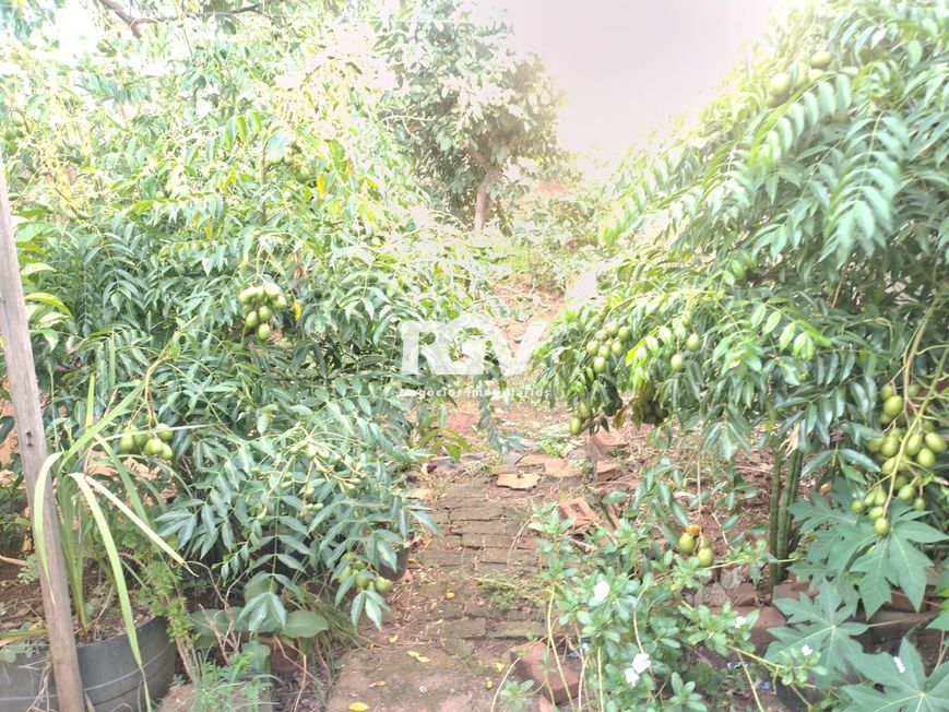 Casa_Aluguel