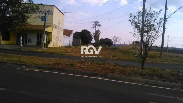 Imagem 3
