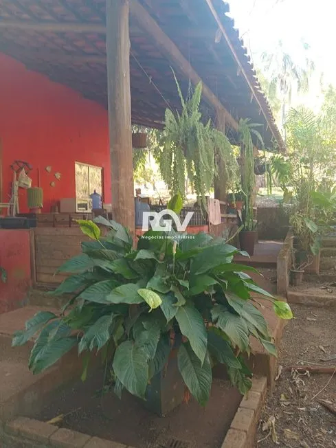 Imagem 5