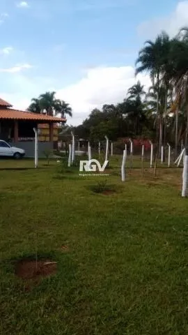 Imagem 23