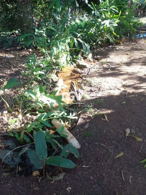 Imagem 2