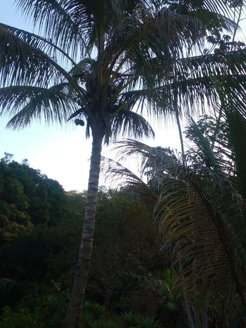 Imagem 19