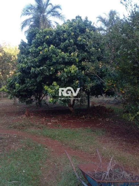 Imagem 17