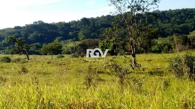 Imagem 25